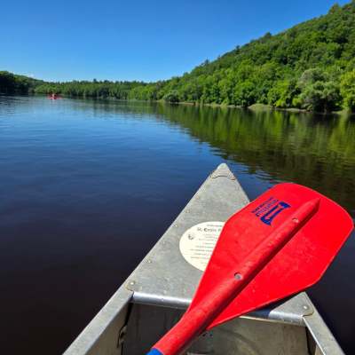 Canoe with red paddle on calm river surrounded by green trees under blue sky.