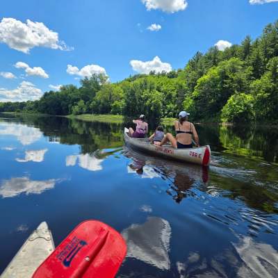 Two people kayaking on a calm river surrounded by lush green trees under a clear blue sky.